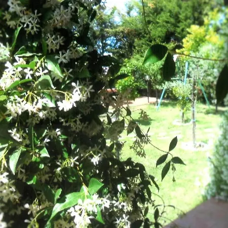 ベッド・アンド・ブレックファスト Hibiscus 4*