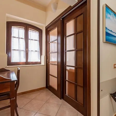 Hibiscus アグローポリ