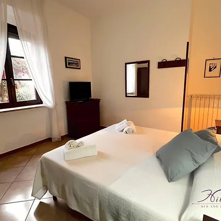 ベッド・アンド・ブレックファスト Hibiscus アグローポリ