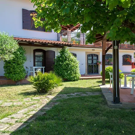 Hibiscus アグローポリ