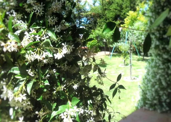 فندق مبيت وإفطار Hibiscus 4*