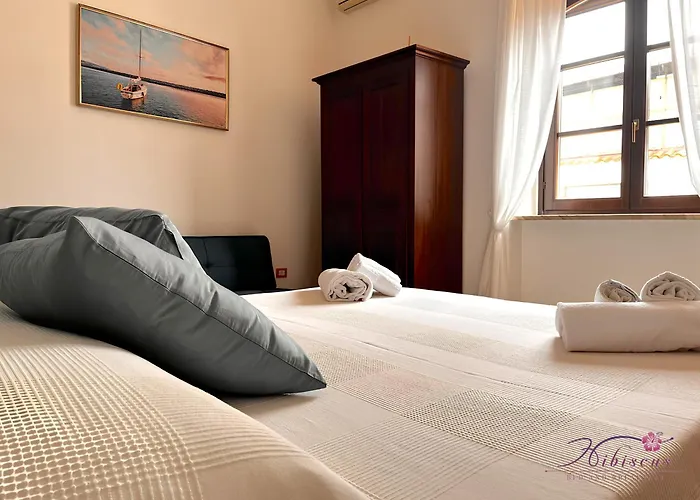 Hibiscus أغروبولي