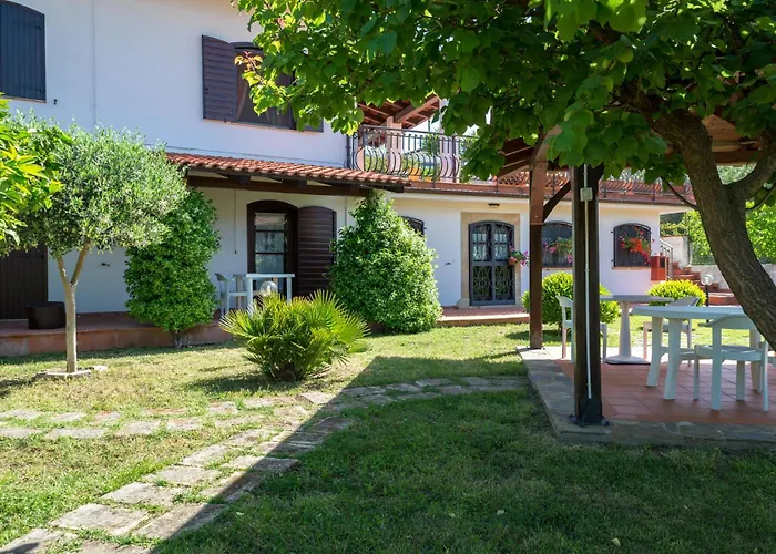 Hibiscus أغروبولي