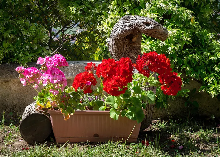 Hibiscus فندق مبيت وإفطار أغروبولي