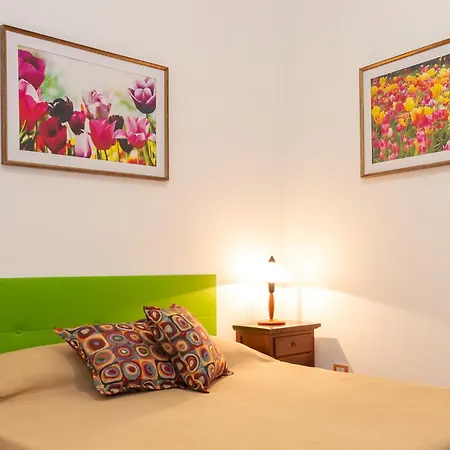 Hibiscus Agropoli