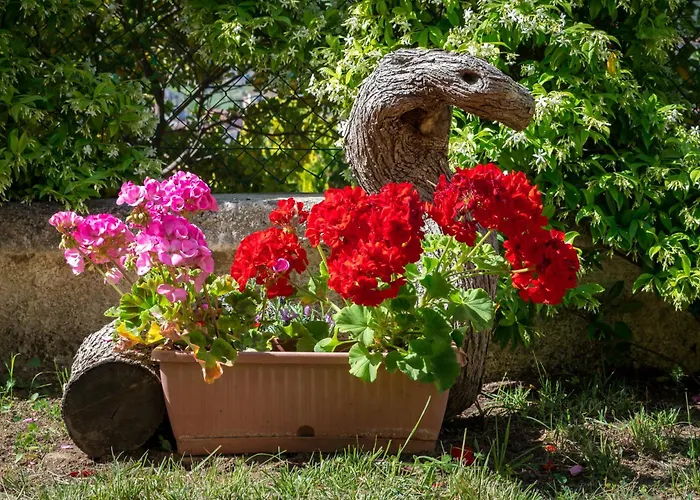 Nocleg ze śniadaniem Hibiscus 4*